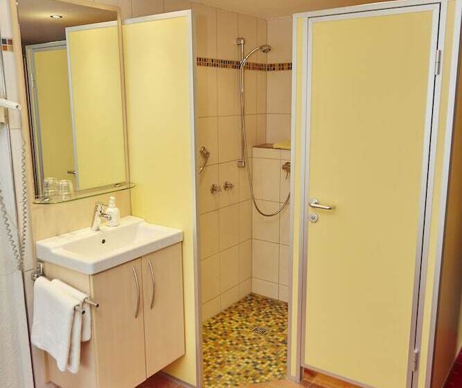 Номер Стандарт Индивидуальный, Flair Hotel Landgasthof Roger