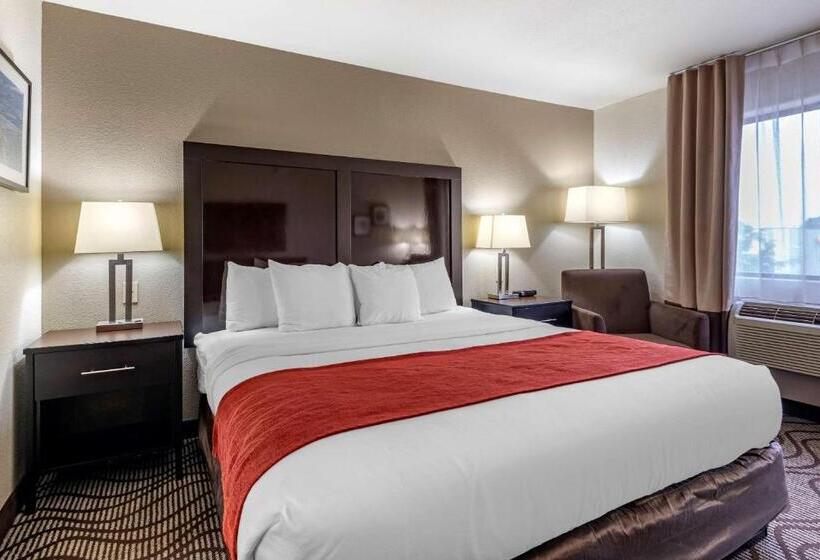 Номер Стандарт Адаптированный для Инвалидов, Comfort Inn & Suites