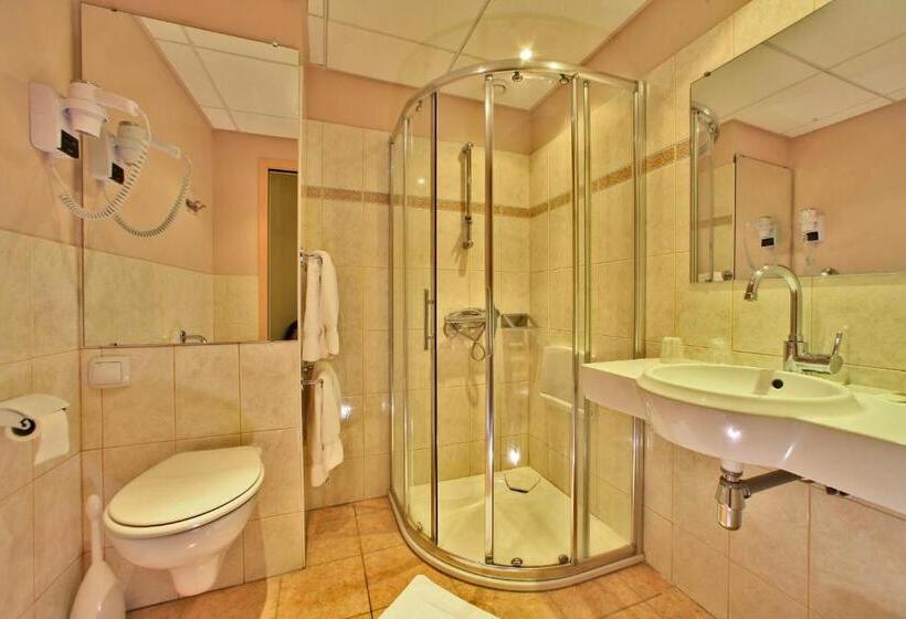 Четырехместный Номер Классик, Logis Hôtel Le Lion D Or