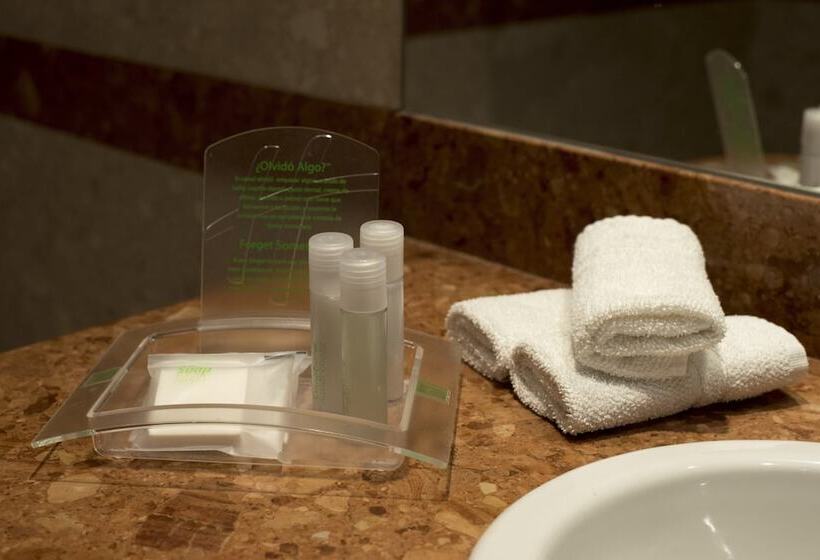 اتاق استاندارد, Holiday Inn Cordoba, An Ihg