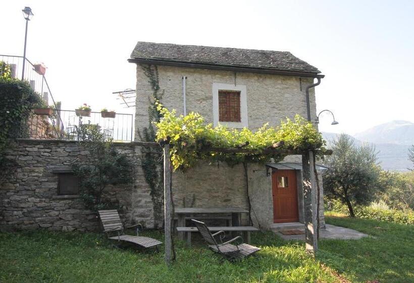 سوییت, Fattoria L'amorosa