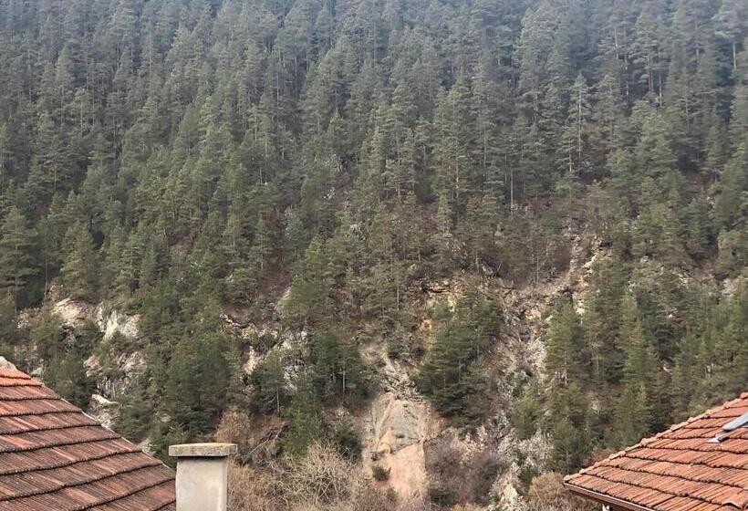 Номер Стандарт с Террасой, Guest House Niya