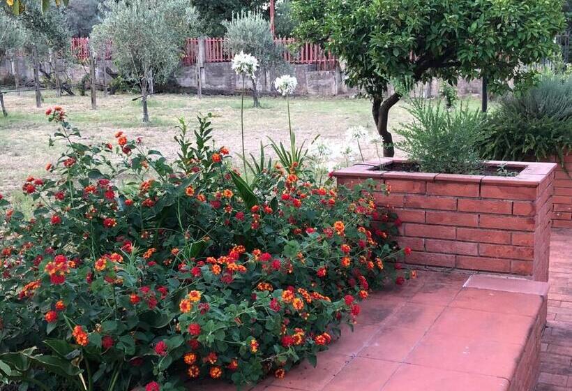 اتاق استاندارد با تخت بزرگ, Villa Carolea