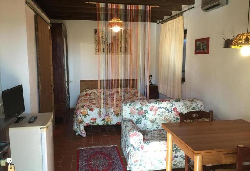 Студия Стандарт, Poggio Baroni Agriturismo