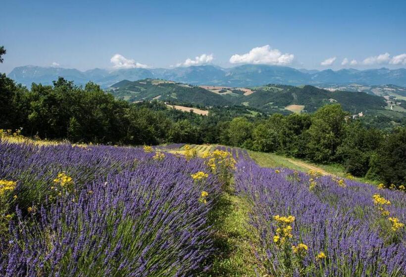 3间卧室的房子, Agriturismo Amargi