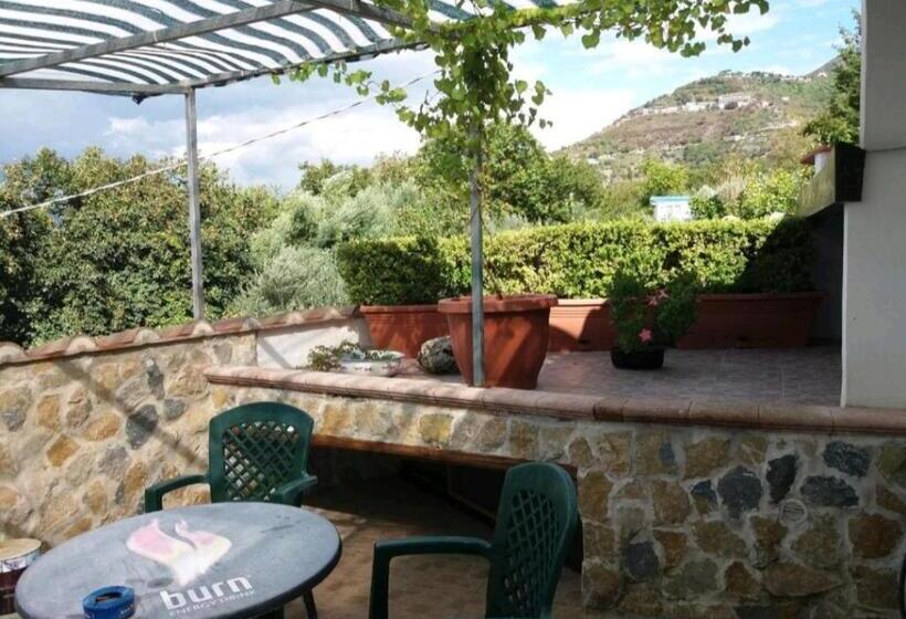 Номер Стандарт с Террасой, Villa Mola Bed And Breakfast