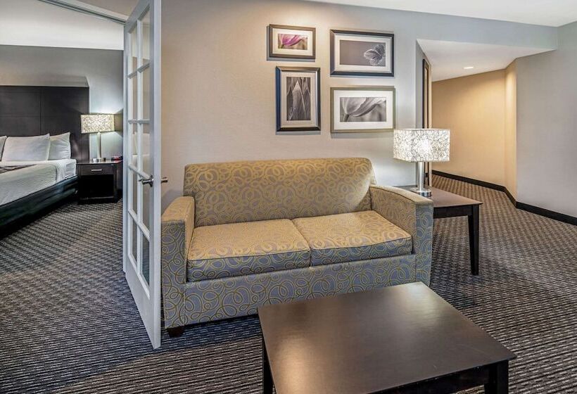 Sviitti Liikuntarajoitteisille, La Quinta By Wyndham Anaheim