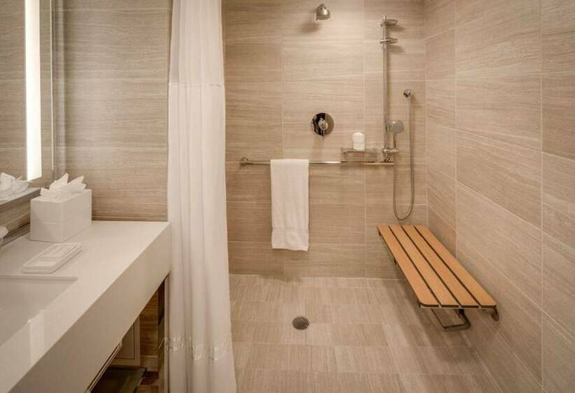 适合残疾人士使用的带超级大床的标准间, Millennium Hilton New York One Un Plaza