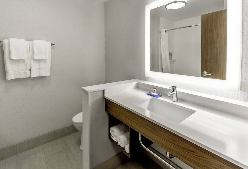 套房, Holiday Inn Express Milwaukee West Allis By Ihg