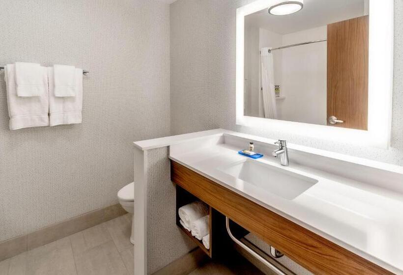 套房, Holiday Inn Express Milwaukee West Allis By Ihg