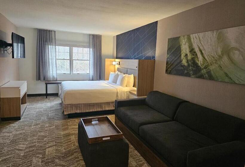 Люкс Кровать Кинг, Springhill Suites By Marriott Freeport Brunswick