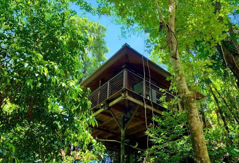 수피리어 룸, Cairns Rainforest Retreat