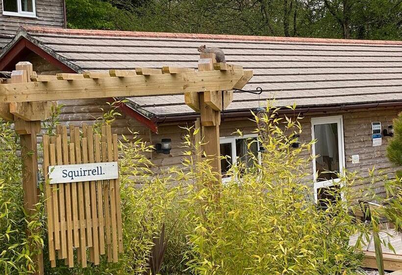 Дом 2 Спальни, Ivyleaf Combe Lodges