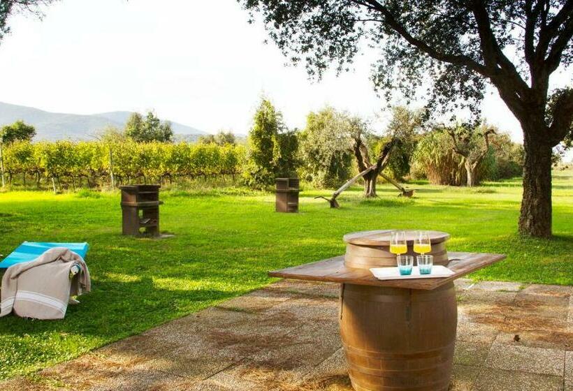 Номер Стандарт, Fattoria Il Duchesco