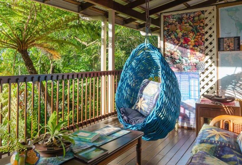 발코니 스탠다드 싱글 룸, Epiphyte B & B