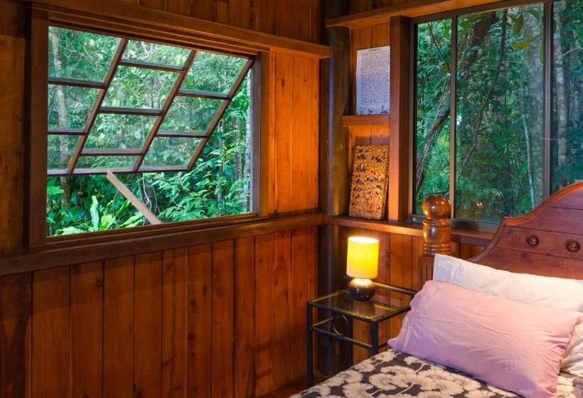 오두막, Epiphyte B & B