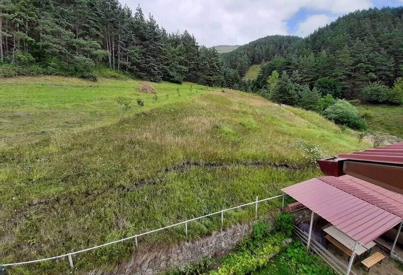 Номер Economy, Lermont Guest House