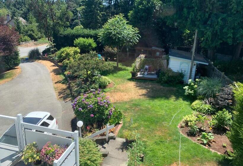 带特大床的标准间, Bayview B&b