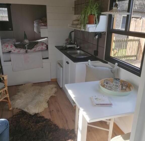 Номер Стандарт, Logement Doosje