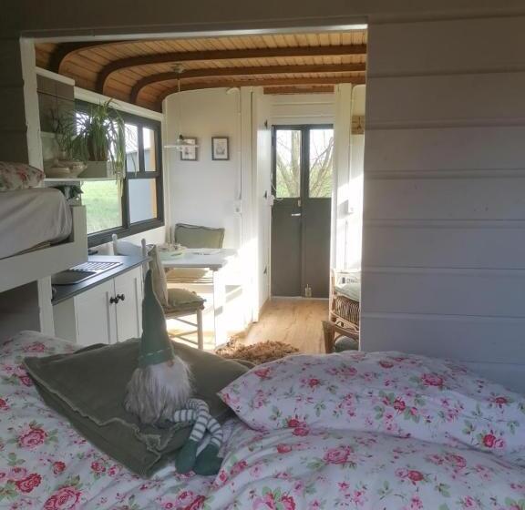 غرفة قياسية, Logement Doosje