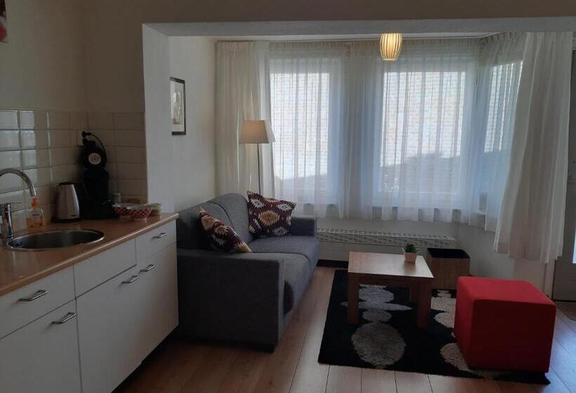 Апартаменты 1 Спальня, Vakantie Appartementen Engelen