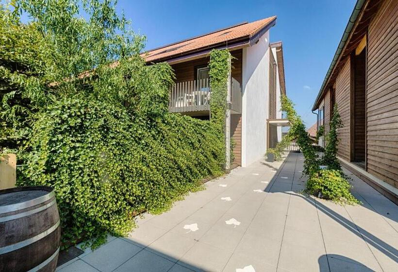 带1个卧室的公寓, Hôtel La Croix Blanche