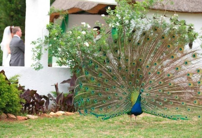Номер Стандарт Вид на Бассейн, Warembo Lodge