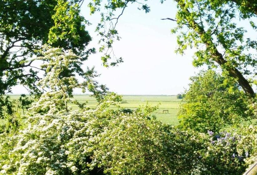 Номер Стандарт, Lyklamastate