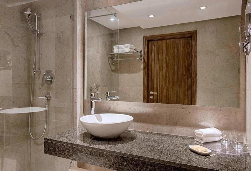 اتاق استاندارد با تخت بزرگ, Sheraton Tunis