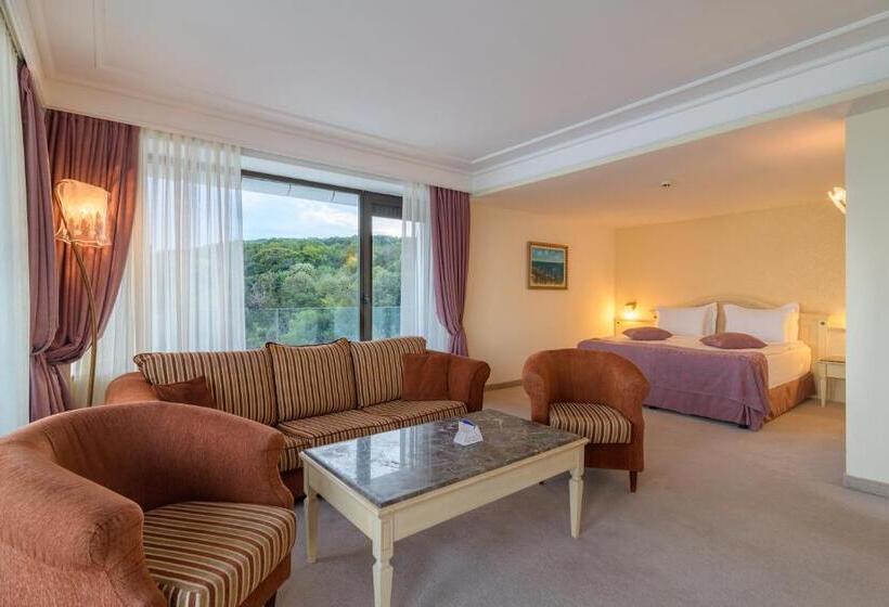 Номер Deluxe Вид на Парк, The Palace Hotel, Sunny Day
