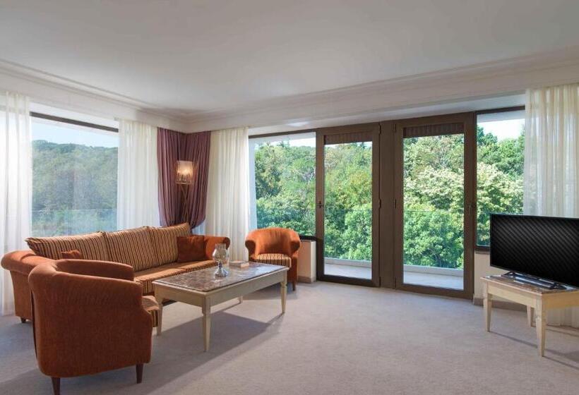 Номер Deluxe Вид на Парк, The Palace Hotel, Sunny Day
