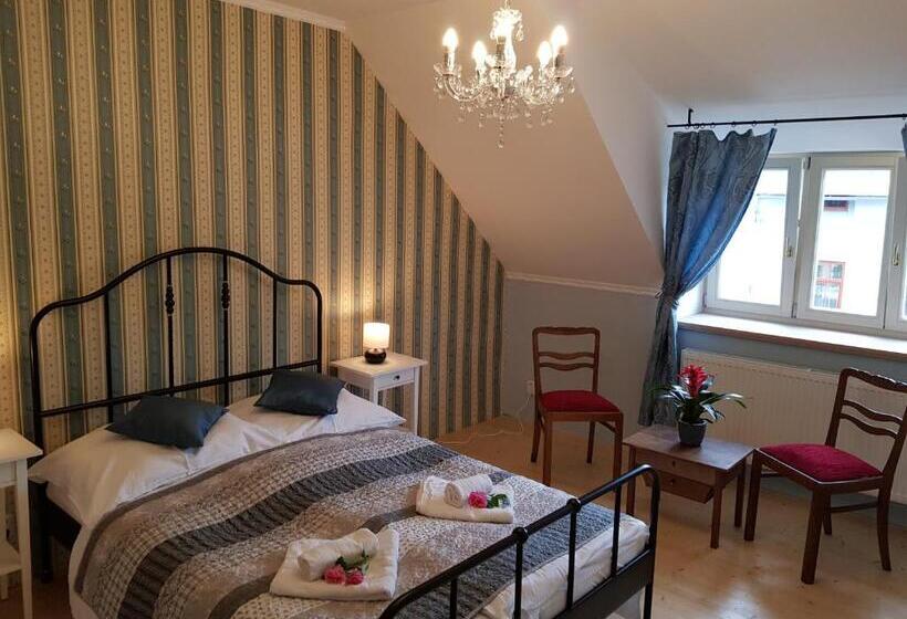 スタンダードルーム, Vila Janáčkova   1st Republic Villa