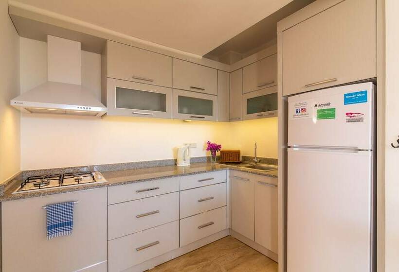 آپارتمان 1 خوابه با چشم‌انداز باغ, Korsan Apartments