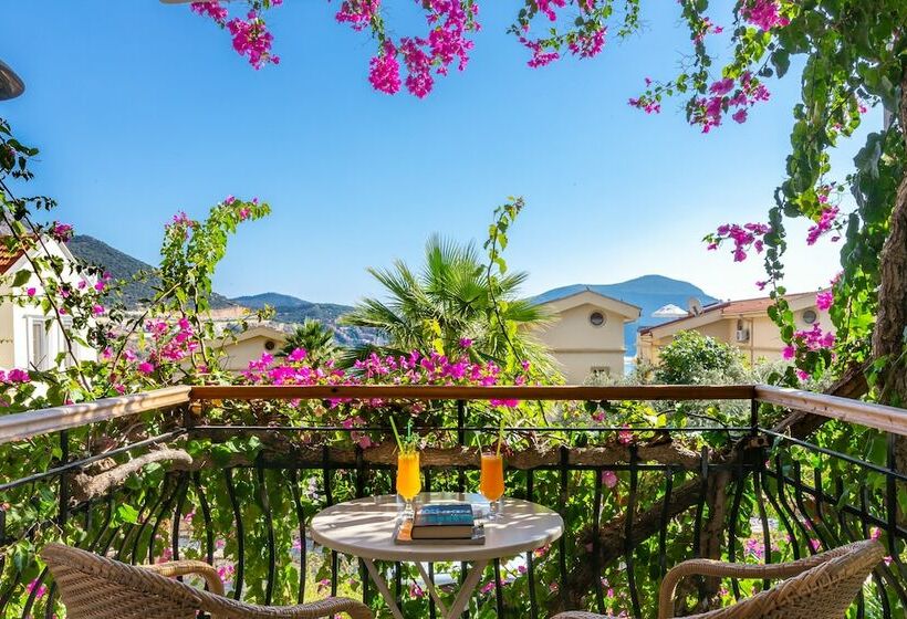 آپارتمان 1 خوابه با چشم‌انداز باغ, Korsan Apartments
