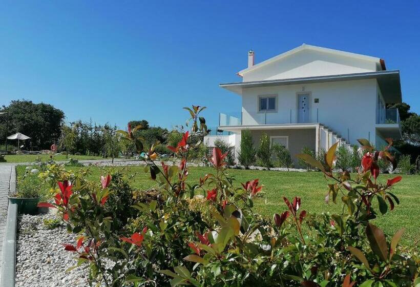 Номер Стандарт Вид на Бассейн, Pérola D óbidos T1