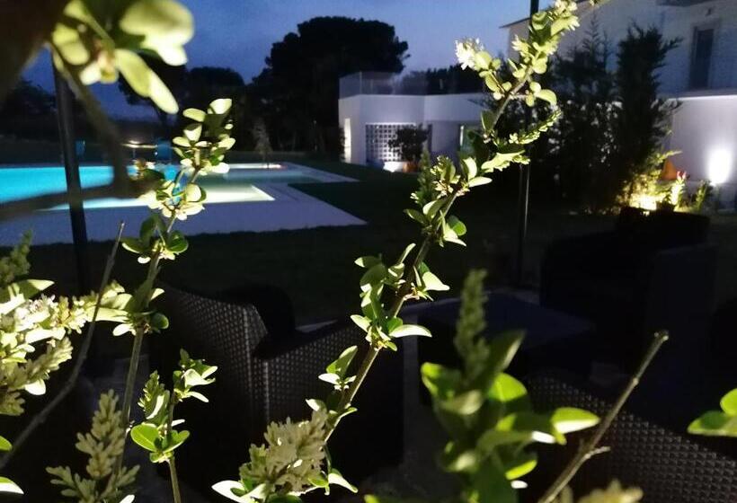 Номер Стандарт Вид на Бассейн, Pérola D óbidos T1