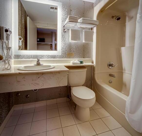 Люкс, Monte Carlo Inn Markham