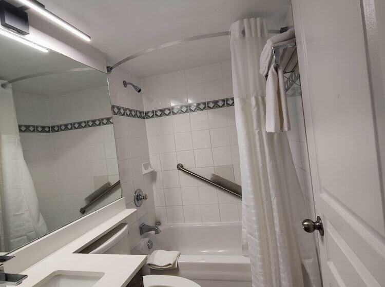 带1个卧室的带阳台的公寓, Divya Sutra Suites On Robson Downtown Vancouver