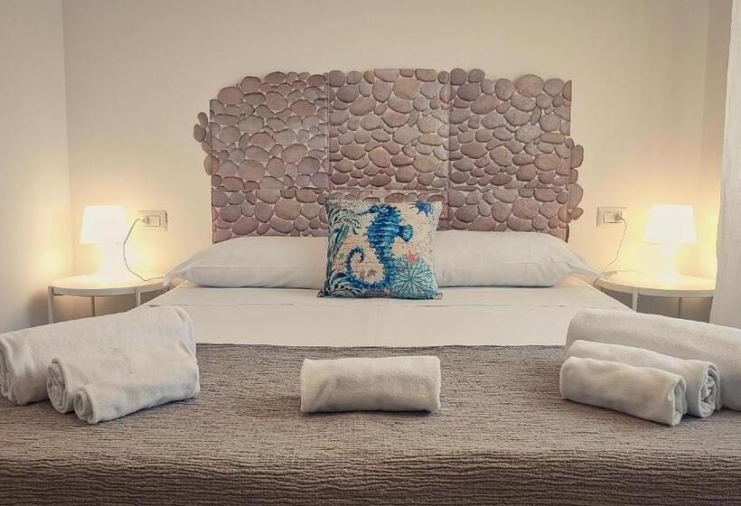 اتاق استاندارد, Hippocampus B&b
