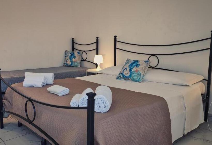 اتاق استاندارد سه نفره, Hippocampus B&b