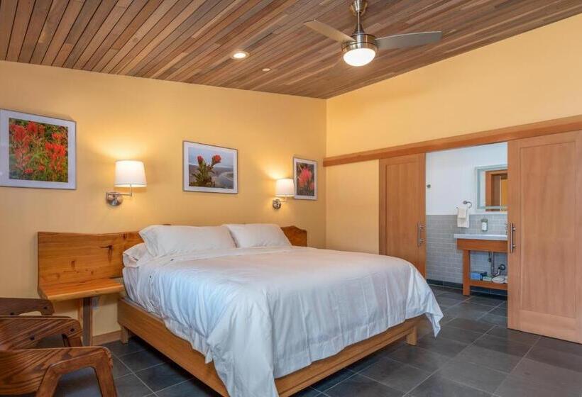 스탠다드 룸 킹사이즈 침대, Wildflower Boutique Motel