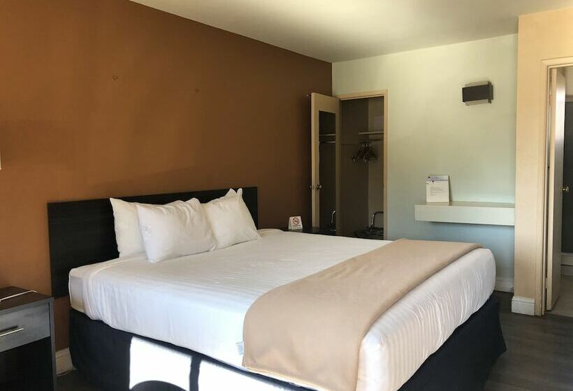 장애인용 디럭스룸, Elevation Lodge