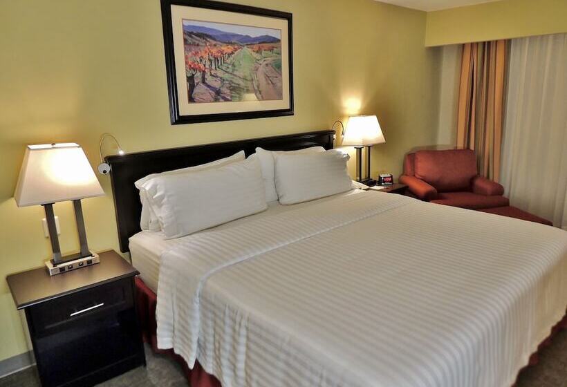 اتاق استاندارد, Holiday Inn Reynosa Zona Dorada By Ihg