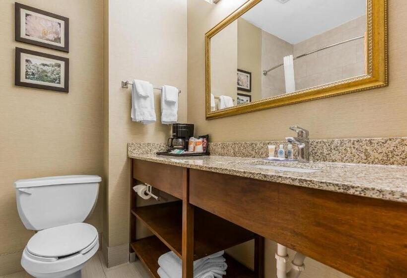 스탠다드 룸 킹사이즈 침대, Comfort Inn & Suites Mishawakasouth Bend
