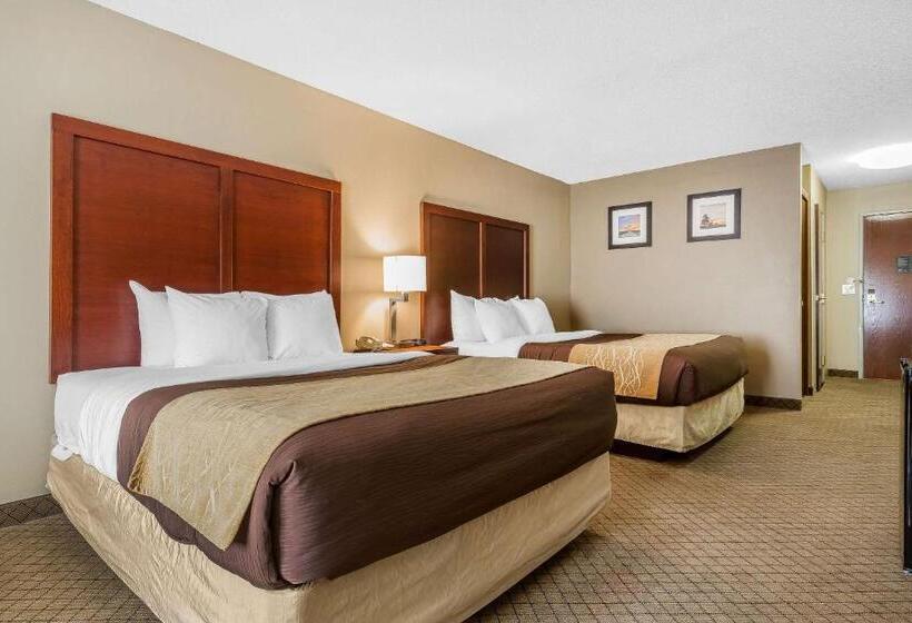 스탠다드 룸, Comfort Inn & Suites Mishawakasouth Bend