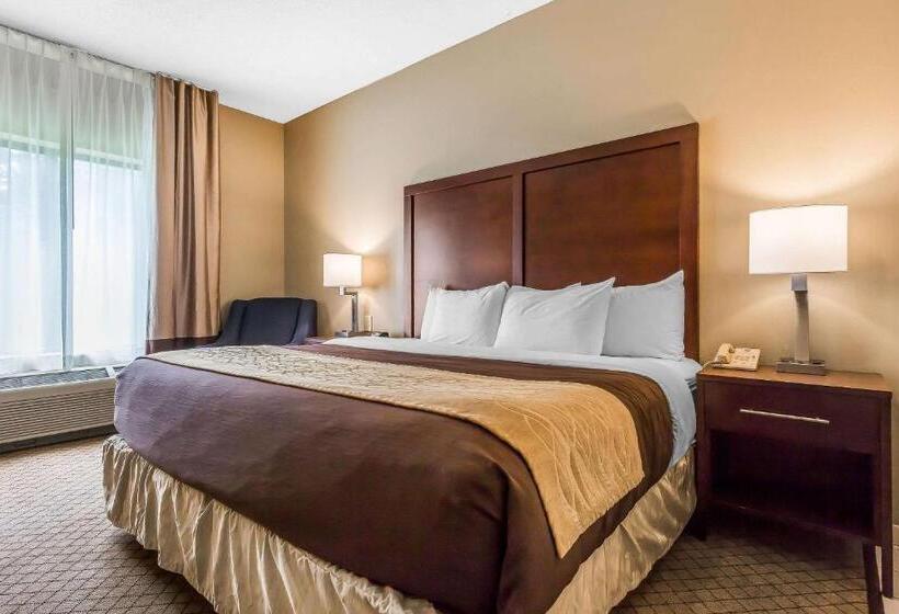스위트 킹사이즈 침대, Comfort Inn & Suites Mishawakasouth Bend