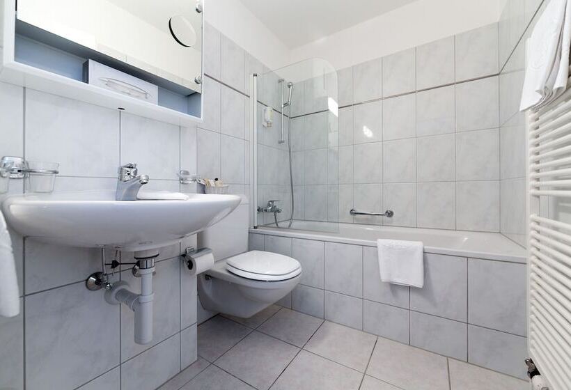 Номер Стандарт Индивидуальный, Turmhotel Victoria Davos