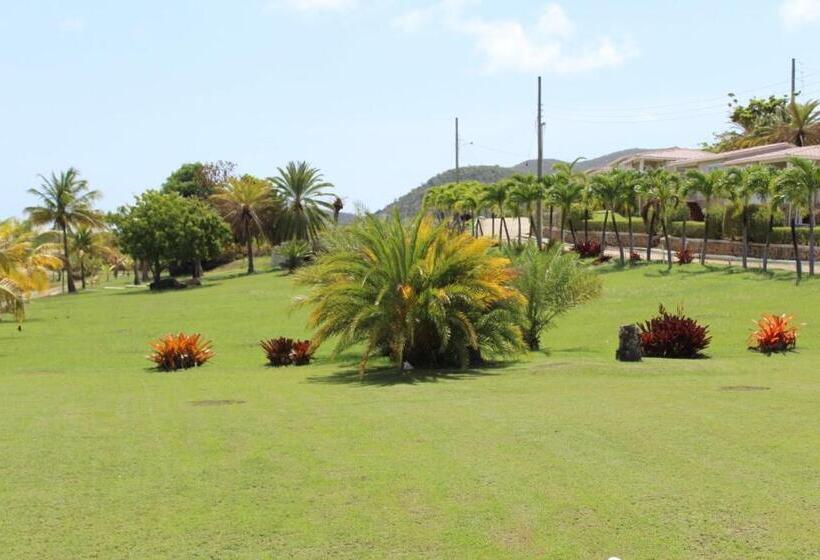 استودیو استاندارد با چشم‌انداز باغ, South Coast Horizon