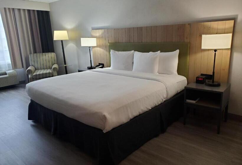 스탠다드 룸 킹사이즈 침대, Country Inn & Suites By Radisson, Buford At Mall Of Georgia, Ga