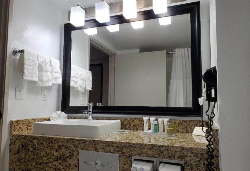 스위트 킹사이즈 침대, Country Inn & Suites By Radisson, Buford At Mall Of Georgia, Ga